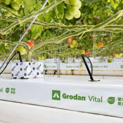 mata wełny mineralnej grodan vital 1m