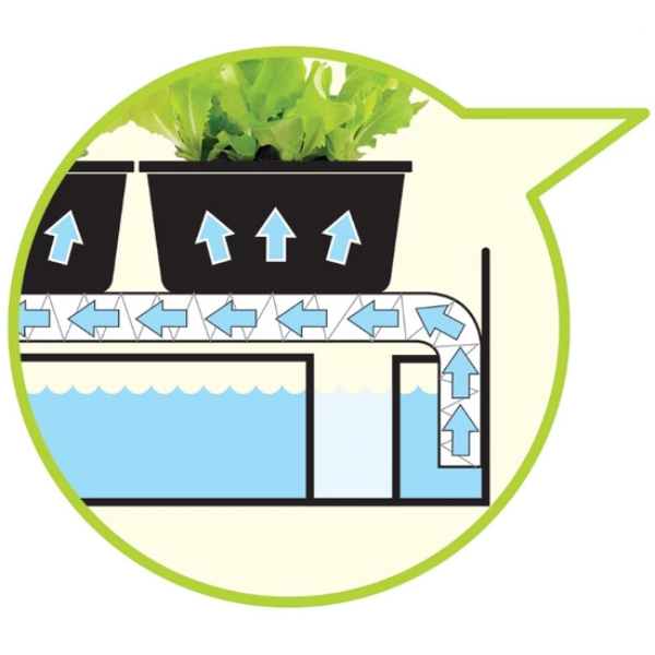 parapetowe grządki z oświetleniem led system nawadniający