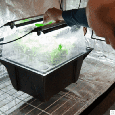 propagator aeroponiczny 12 20 40 80 120 sadzonek