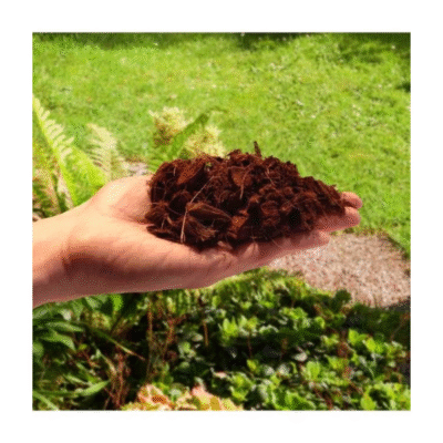 chipsy kokosowe biovita