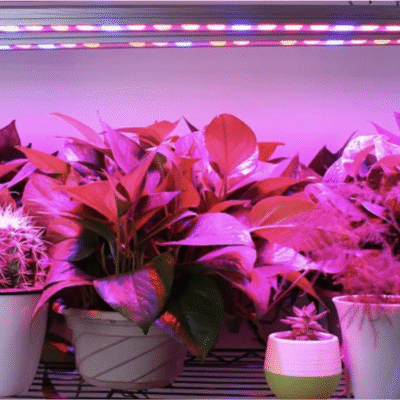 listwa led full spectrum herbgarden