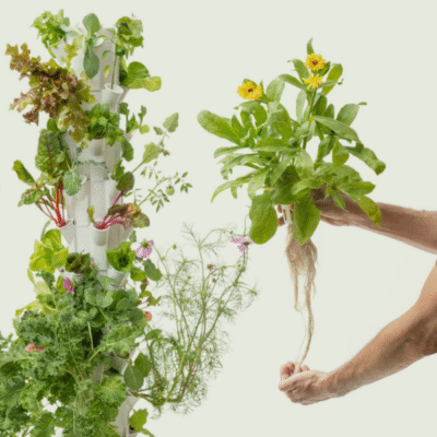 grządka pionowa na 50 roślin główne