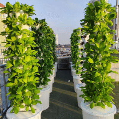 grzadka pionowa nowoczesne ogrodnictwo na dachu