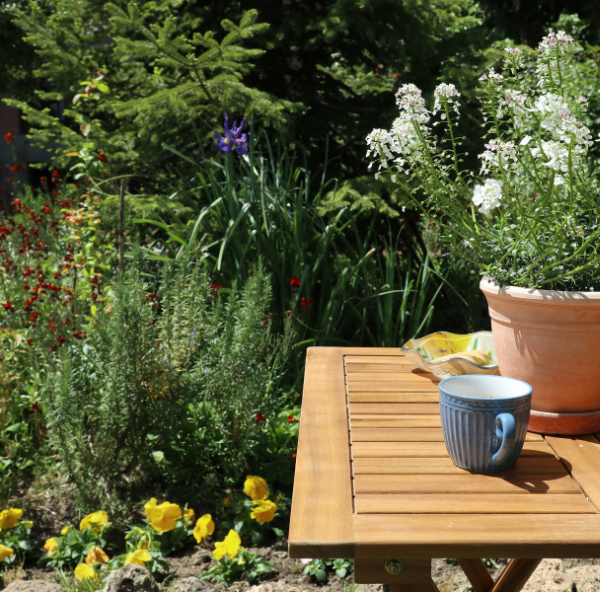 Naturalne środki ochrony roślin