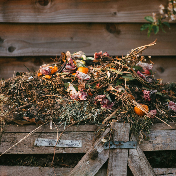 Kompostownik – jak wybrać