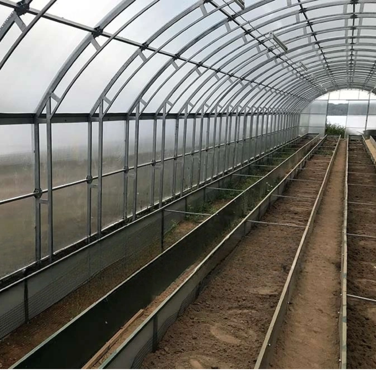 szklarnia botanic rolnik 5m wnętrze