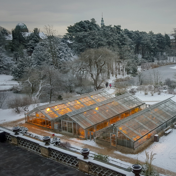 uprawa całoroczna w szklarni przewodnik florafix przed jesienią i zimą