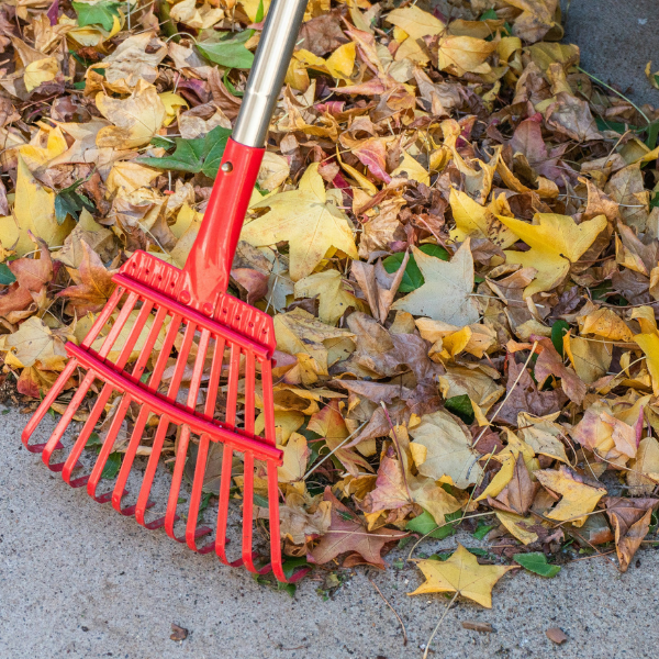Kompostowanie jesienią i zimą – poradnik FloraFix