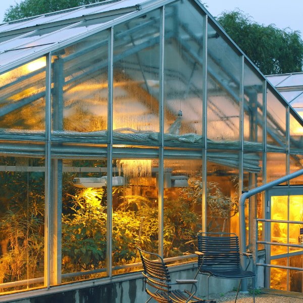 ogrzewanie upraw w szklarniach