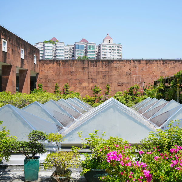 energooszczędne ogrodnictwo od ogrodów otwartych po szklarnie i hydroponike