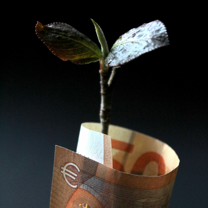 dotacje 2025-2027 dla gospodarstw