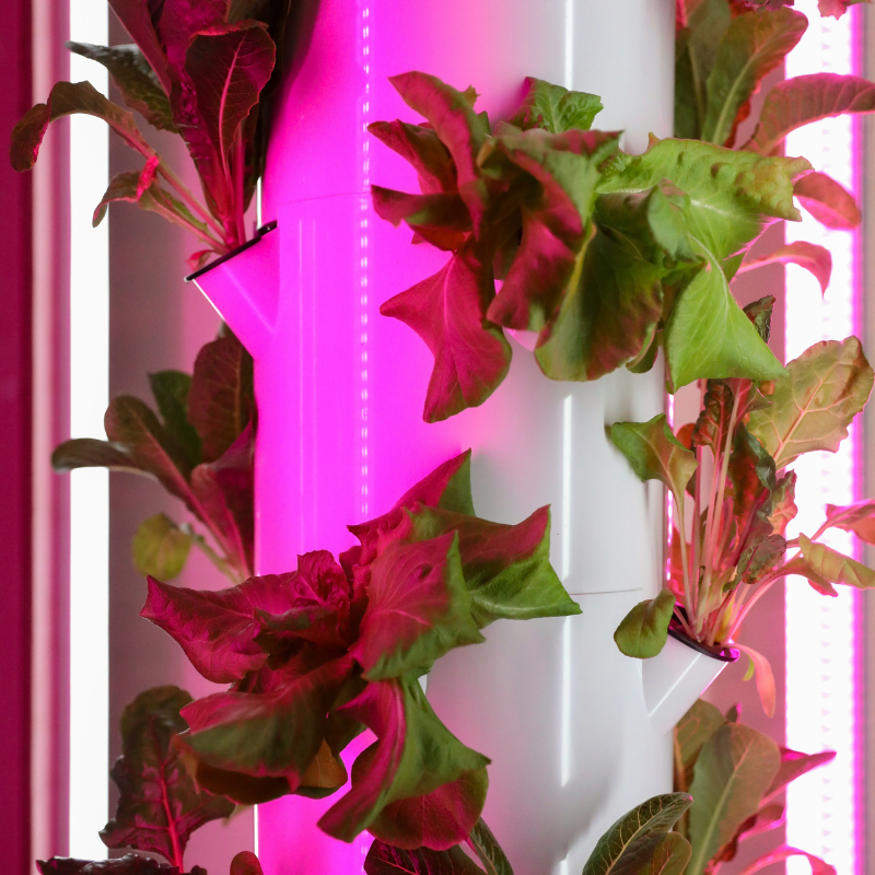 Uprawa indoor i hydroponiczna FloraFix